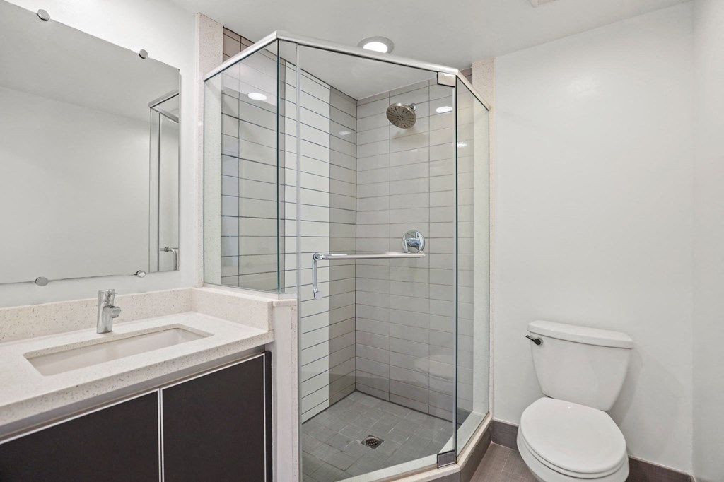 Bathroom with a Stand-Up Shower with Glass Doors, Vanity, and Toilet