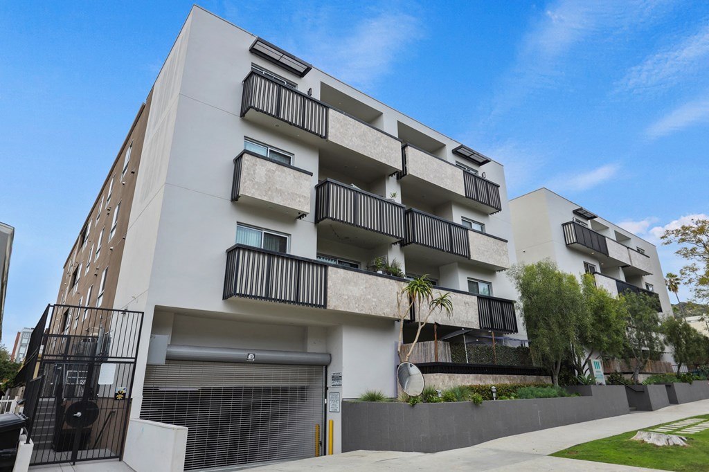 Side View of Poinsettia Sunset by Wiseman