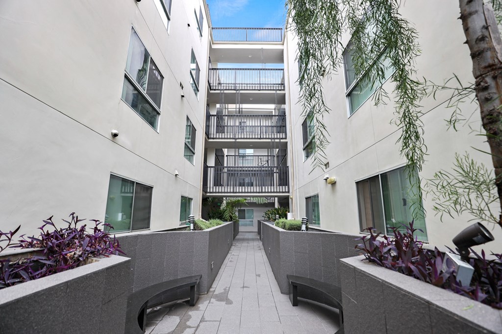 Courtyard of Poinsettia Sunset by Wiseman