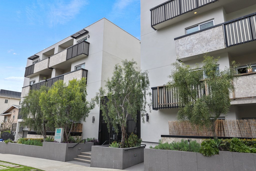 Sidewalk View of Poinsettia Sunset by Wiseman