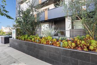 Sidewalk View of Tamarind Emerald by Wiseman Sidewalk View of Tamarind Emerald by Wiseman