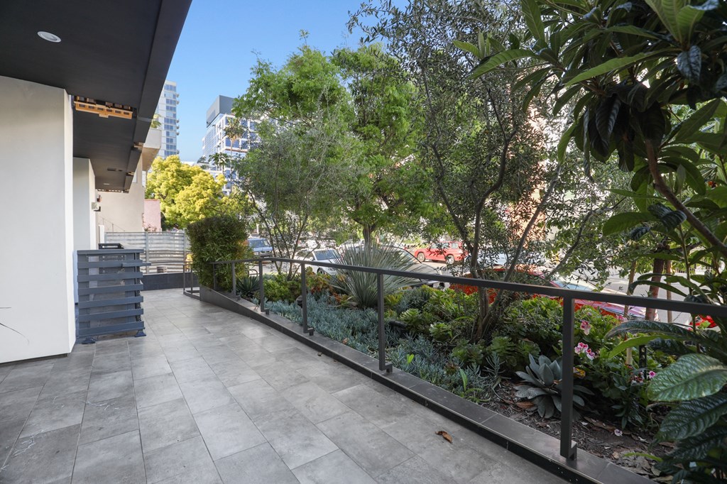 Terrace of Front Entrance