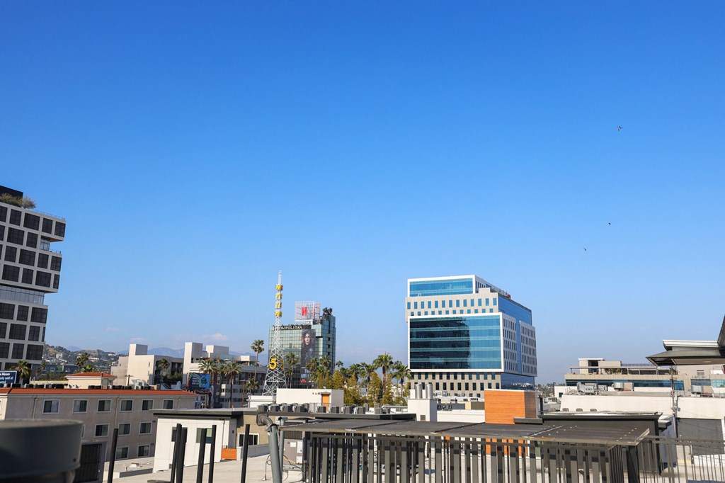 Views of Hollywood from the Rooftop Deck
