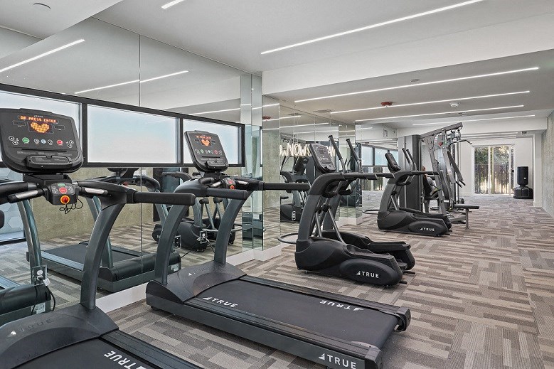 Fitness Area Equipped with Treadmills and Elliptical Machines