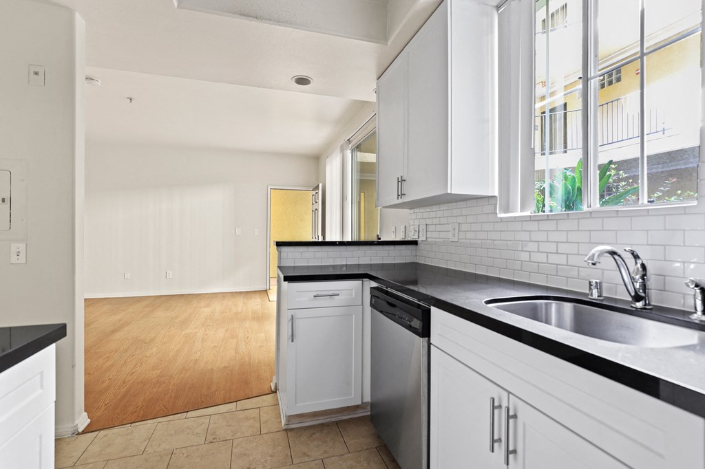 Kitchen with Large-Size Sink and Dishwasher
