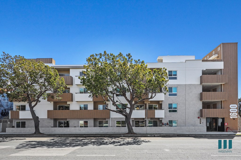 Front View of Venice Wave by WIseman