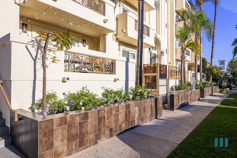 Sidewalk View of West Idaho by Wiseman