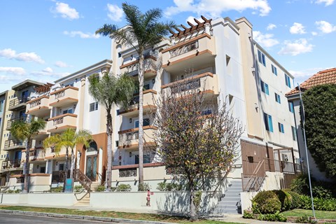 West Idaho by Wiseman