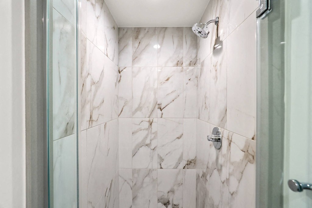 Large-Size Walk-In Shower