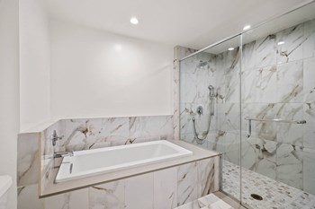 Bathroom with Bathtub and Large Walk-In Shower - Photo Gallery 31