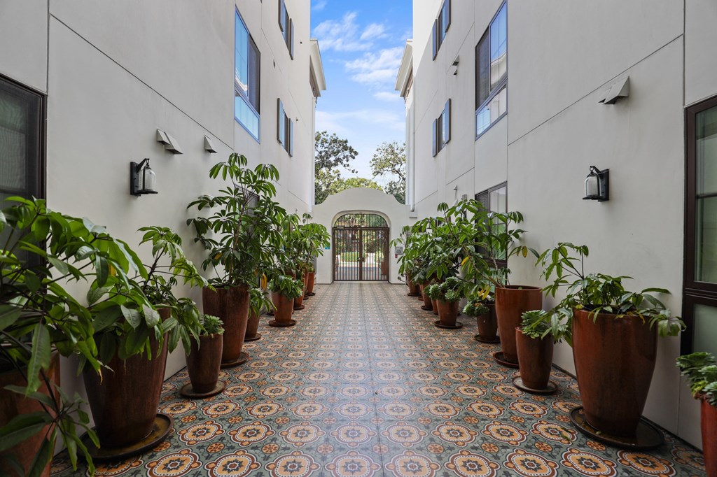 Interior Courtyard of Kelton Madera by Wiseman