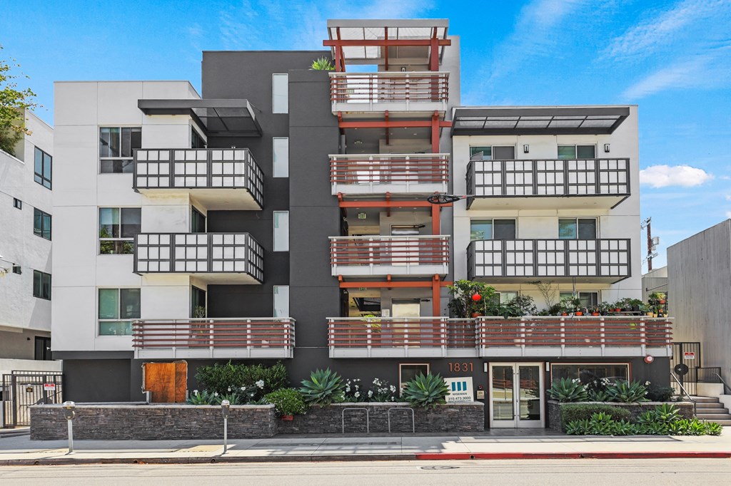 Sawtelle Pearl by Wiseman