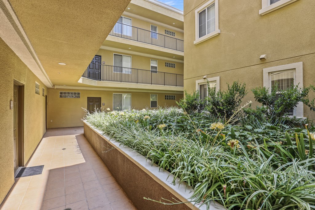 Lower Level of Courtyard