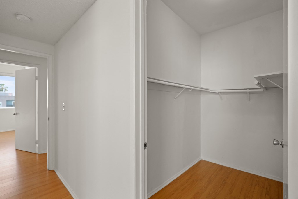 Walk-In Closet with Hanging-Rod and Shelf