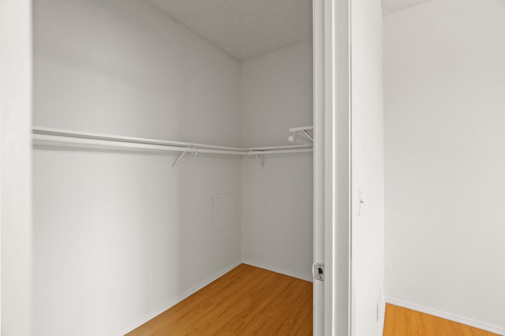 Large-Size Walk-In Closet
