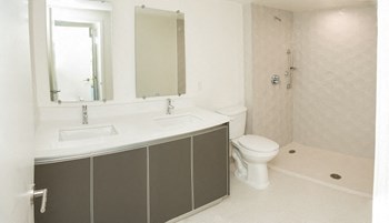 Spacious Master Bathroom with Double Vanity and Walk-In Shower - Photo Gallery 16