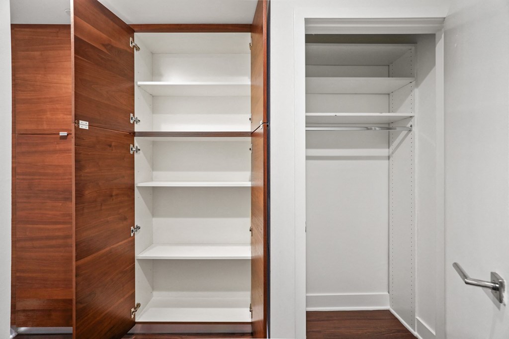 Closet and Additional Built-In Storage Cabinets with Shelving