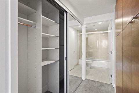 Bathroom, Mirrored Closet, and Built-In Cabinet Storage