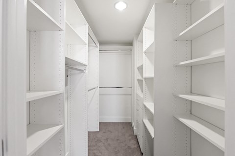 Walk-In Closet with Built-In Organizers