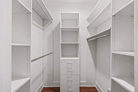 Walk-In Closet with Built-In Organizers