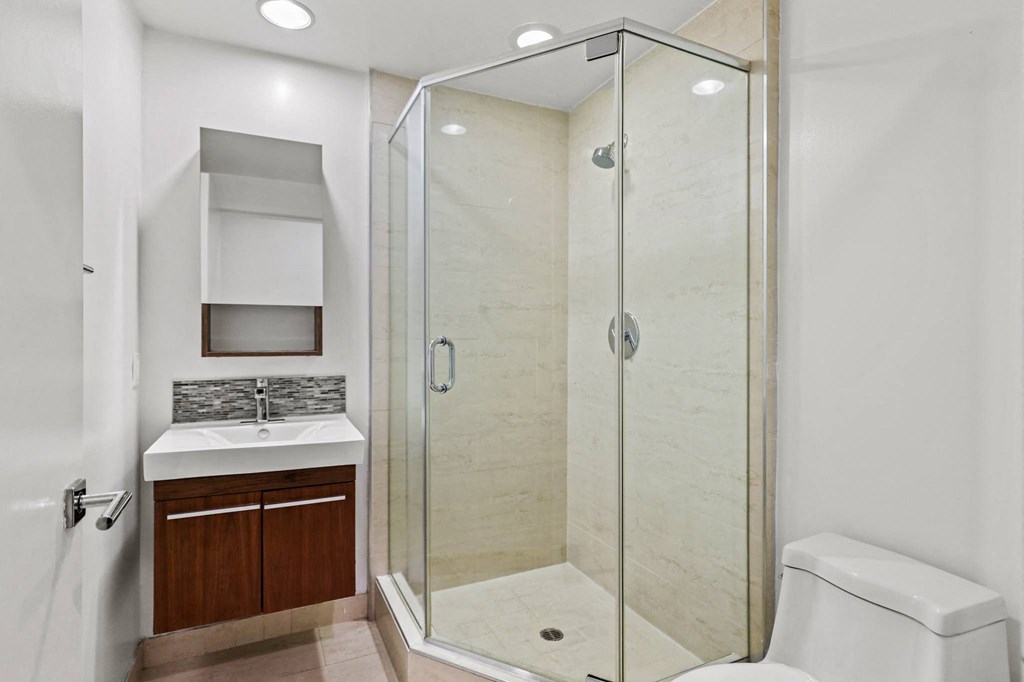 Bathroom with a Stand-Up Shower, SInk, and Toilet