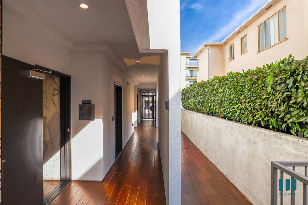 Fox Eight By Wiseman