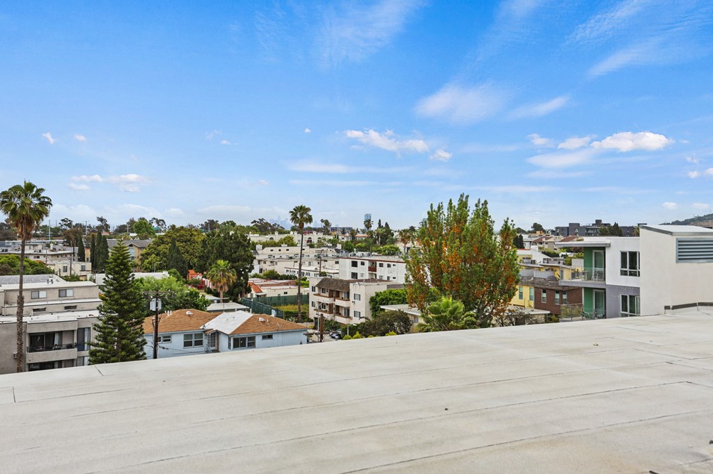 Rooftop Terrace Views