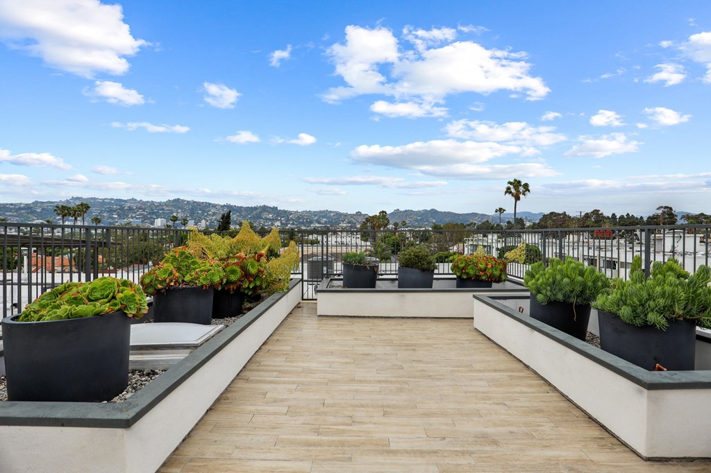 Rooftop Terrace of Hayworth Abbey