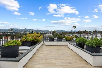 Rooftop Terrace of Hayworth Abbey - Photo Gallery 5