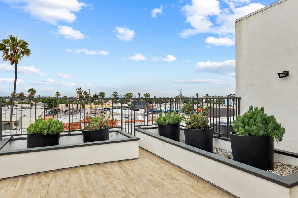 Skyline Views from the Rooftop Terrace