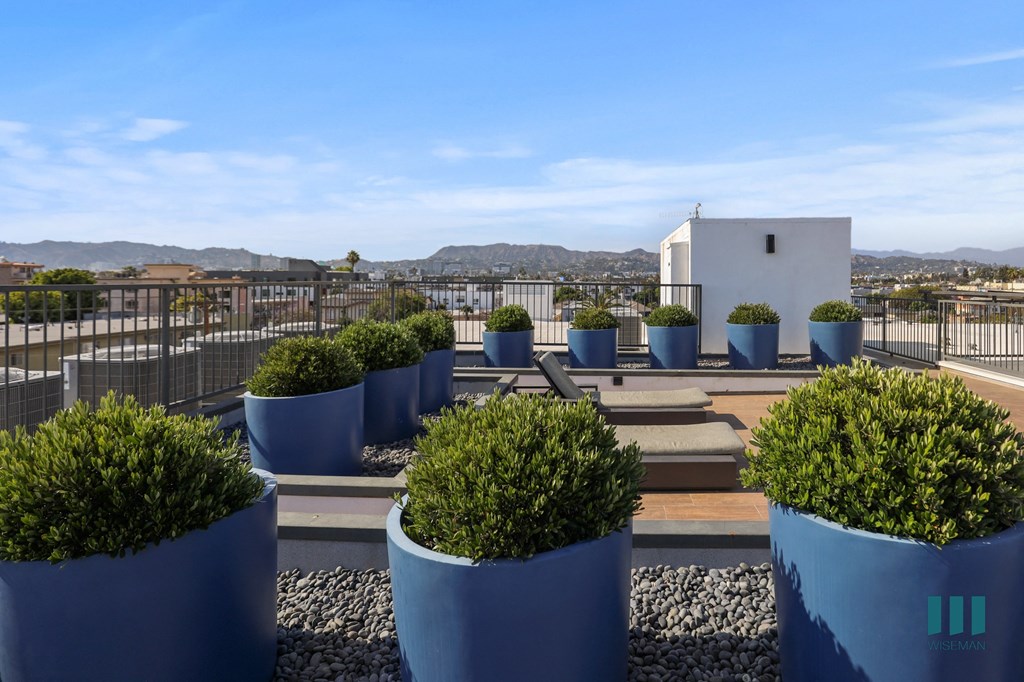 Rooftop Terrace of Rosewood Heights