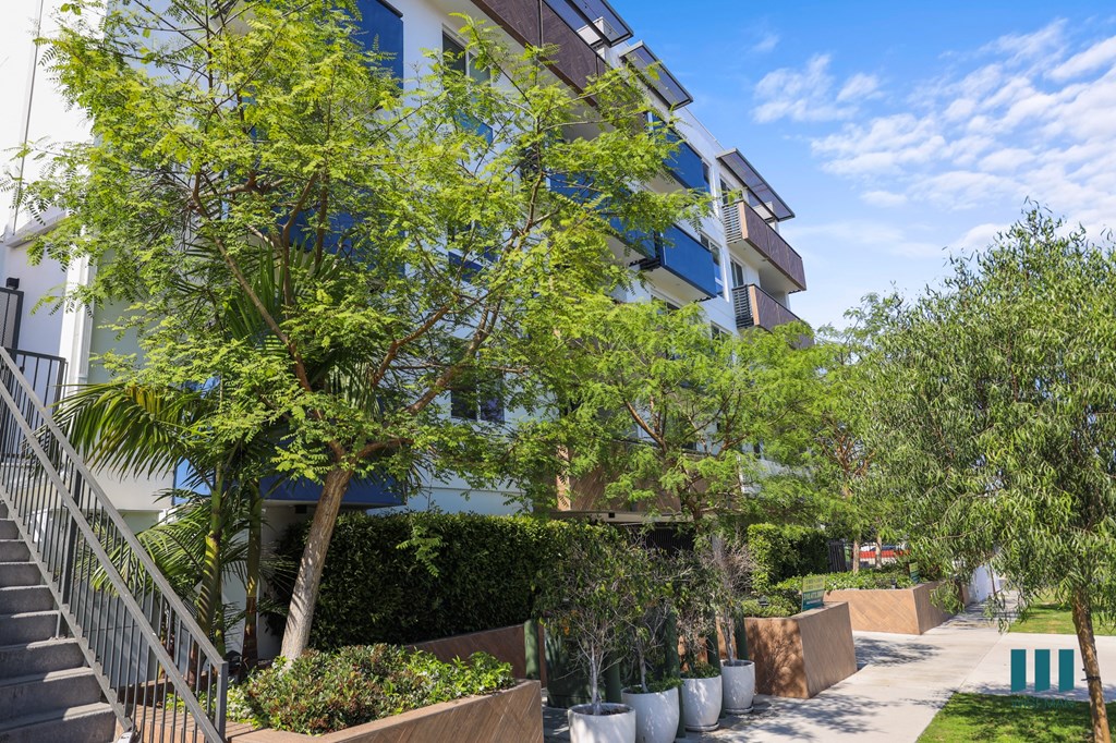 Sidewalk View of Rosewood Heights