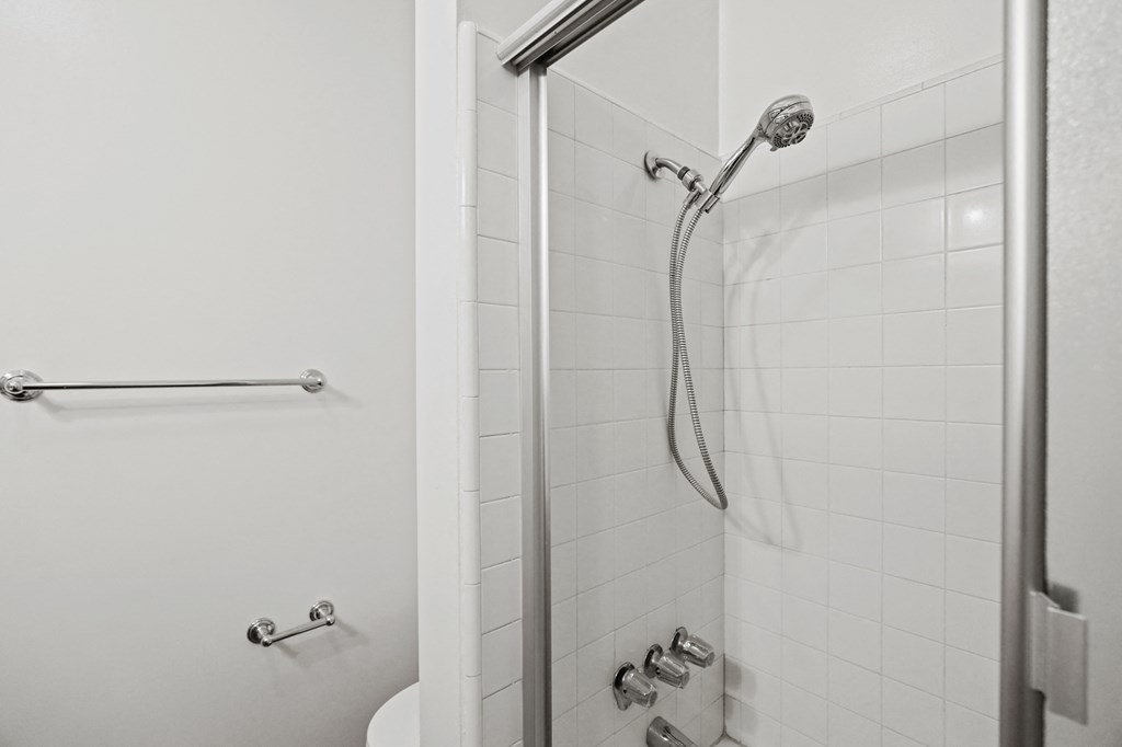 Bathroom with Shower Bath with a Handheld Shower Head