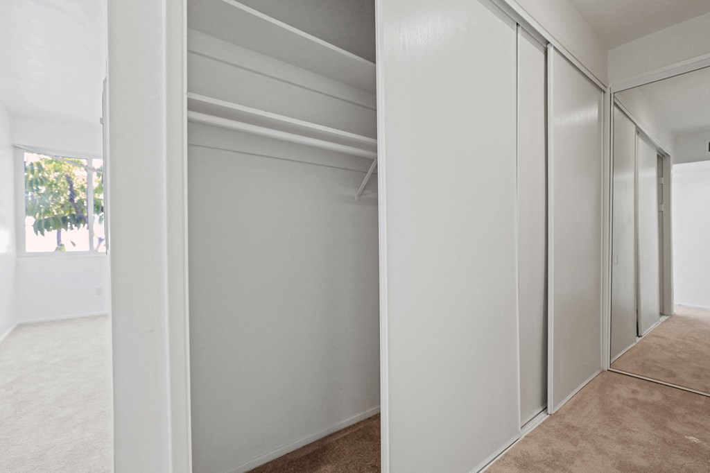 Bedroom with Large-Size Closet with Shelving and Hanging Rod