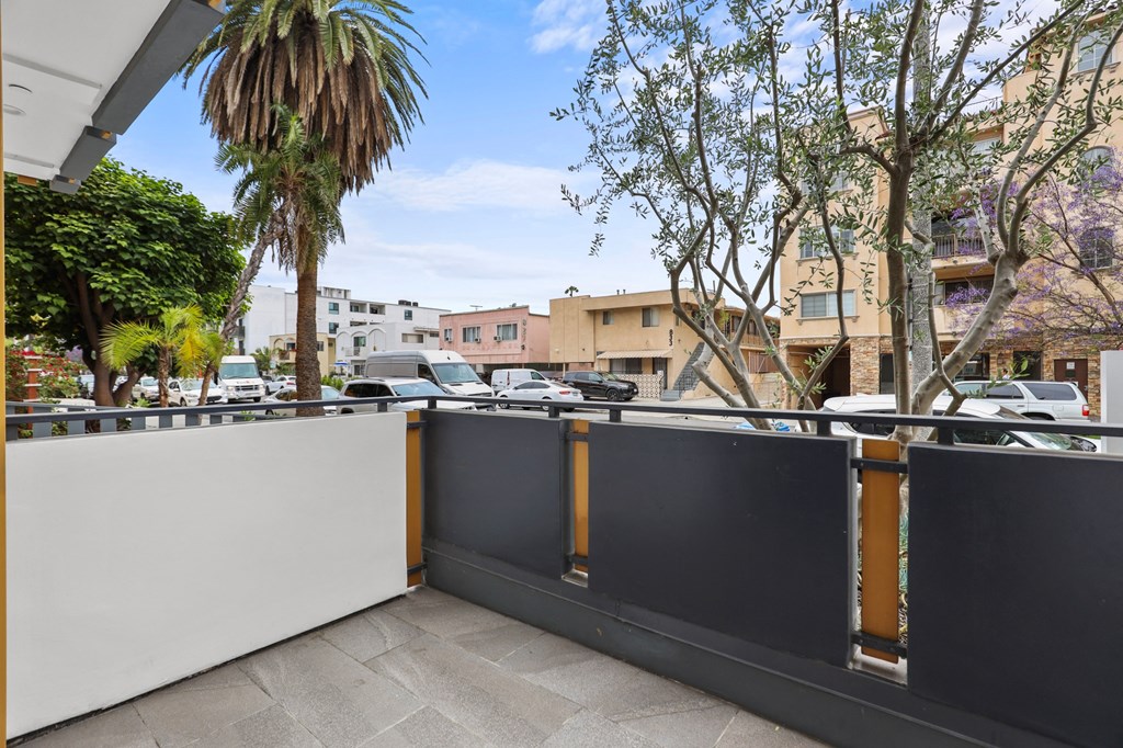 Large-Size Lower-Level Patio