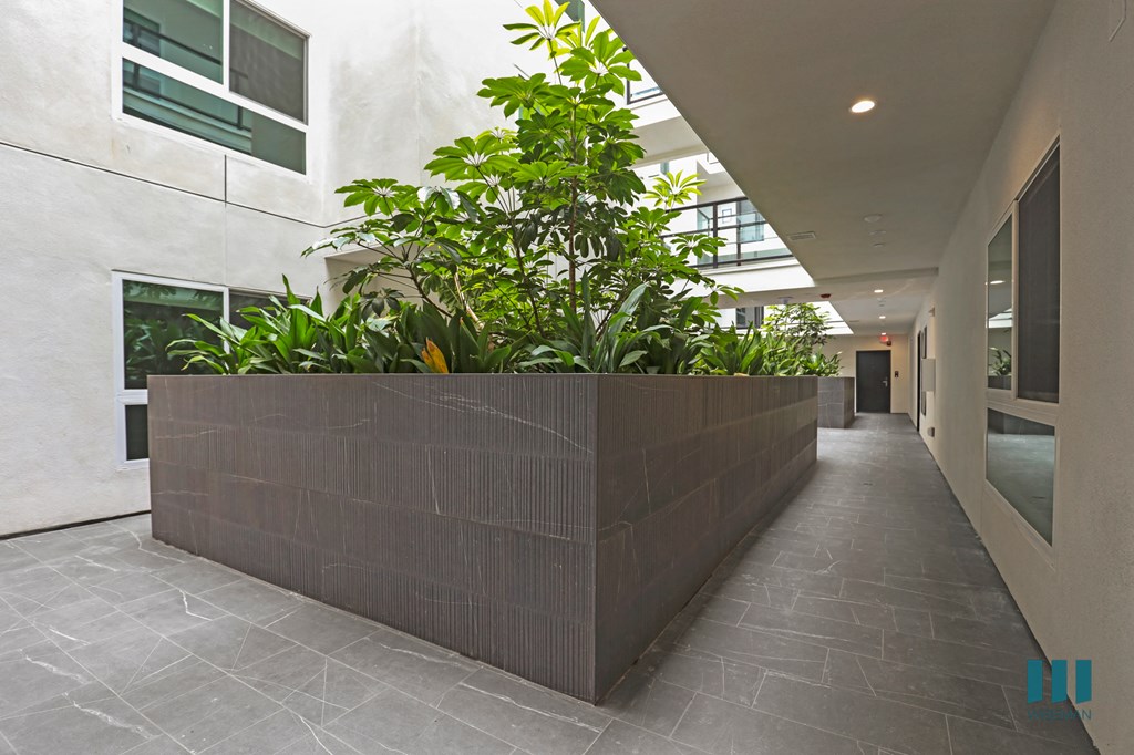 Lower-Level Interior Courtyard