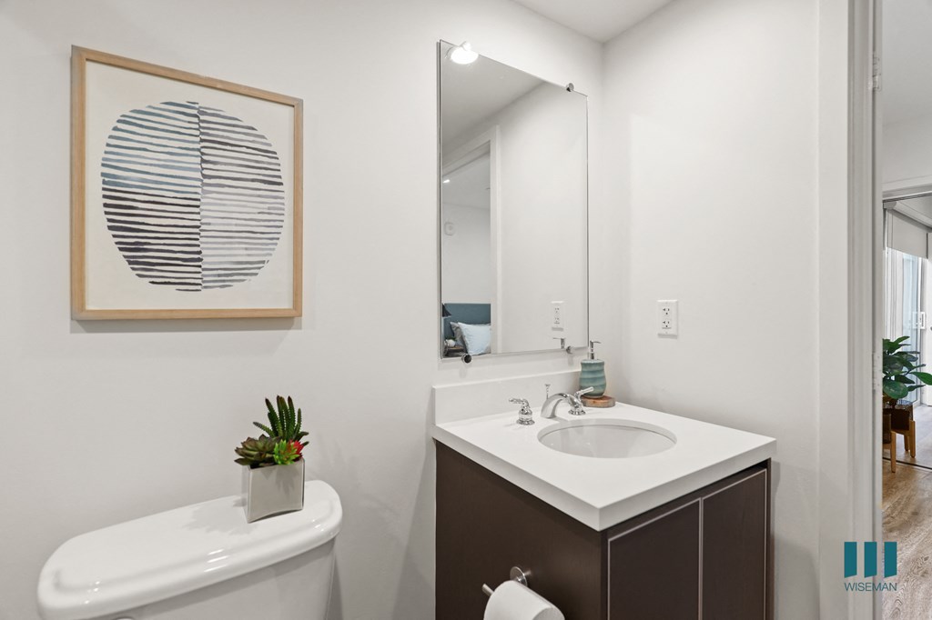 Bathroom with Vanity Cabinet Storage and Toilet