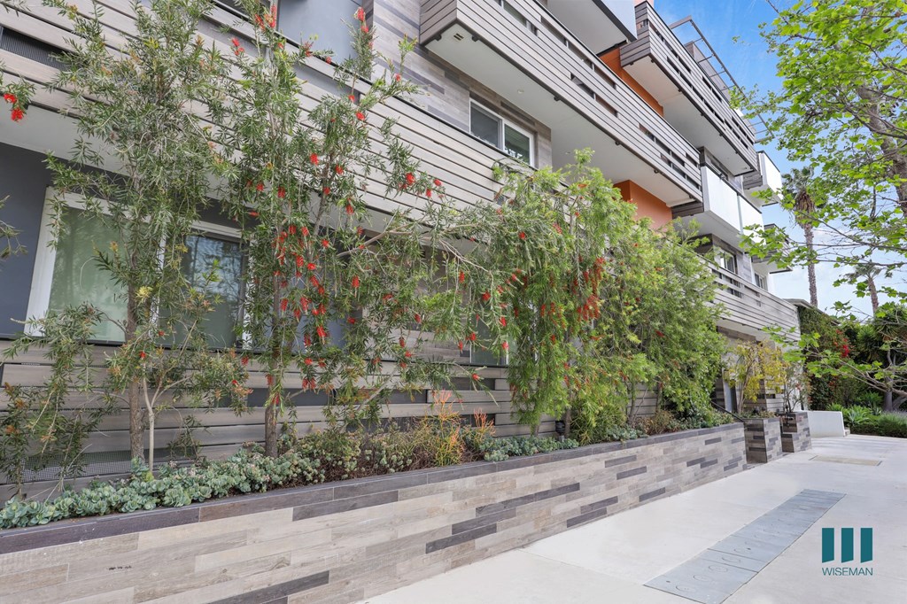 Sidewalk View of Wilcox Bea by Wiseman