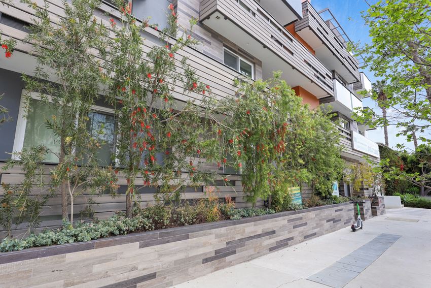 Sidewalk View of Wilcox Bea by Wiseman Sidewalk View of Wilcox Bea by Wiseman