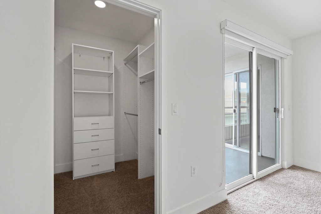 Bedroom with Walk-In Closet with Built-In Organizers and Patio
