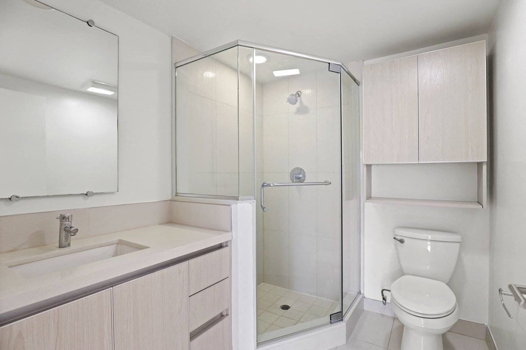 Bathroom with a Stand-Up Shower and Extra Cabinet Storage