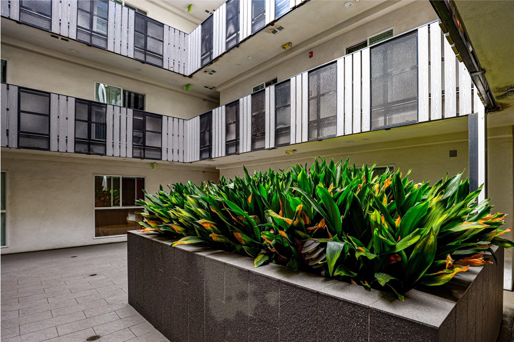 Courtyard Area of Apartment Building