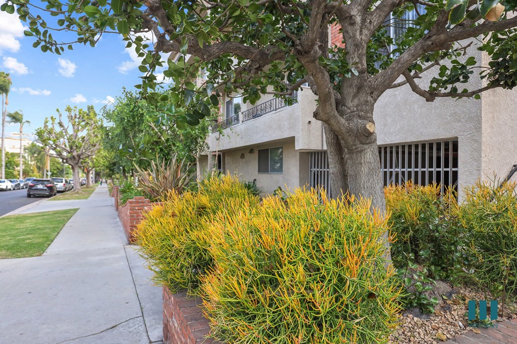 Sidewalk View of Bentley Woodland by Wiseman