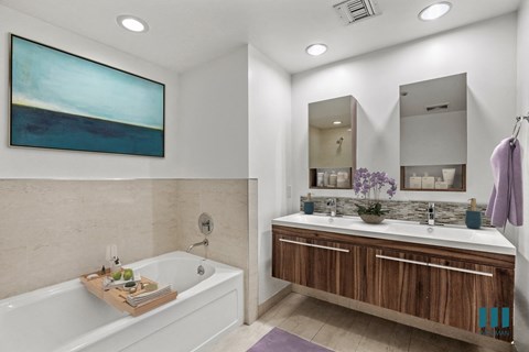 Bathroom with Bathtub and Double-Sink Vanity with Cabinet Storage