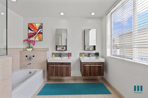 Bathroom with Bathtub, Walk-In Shower, and Double-Sink Vanity