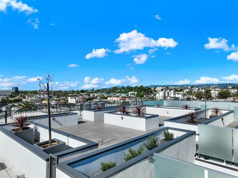 A rooftop garden with a pool and plants.