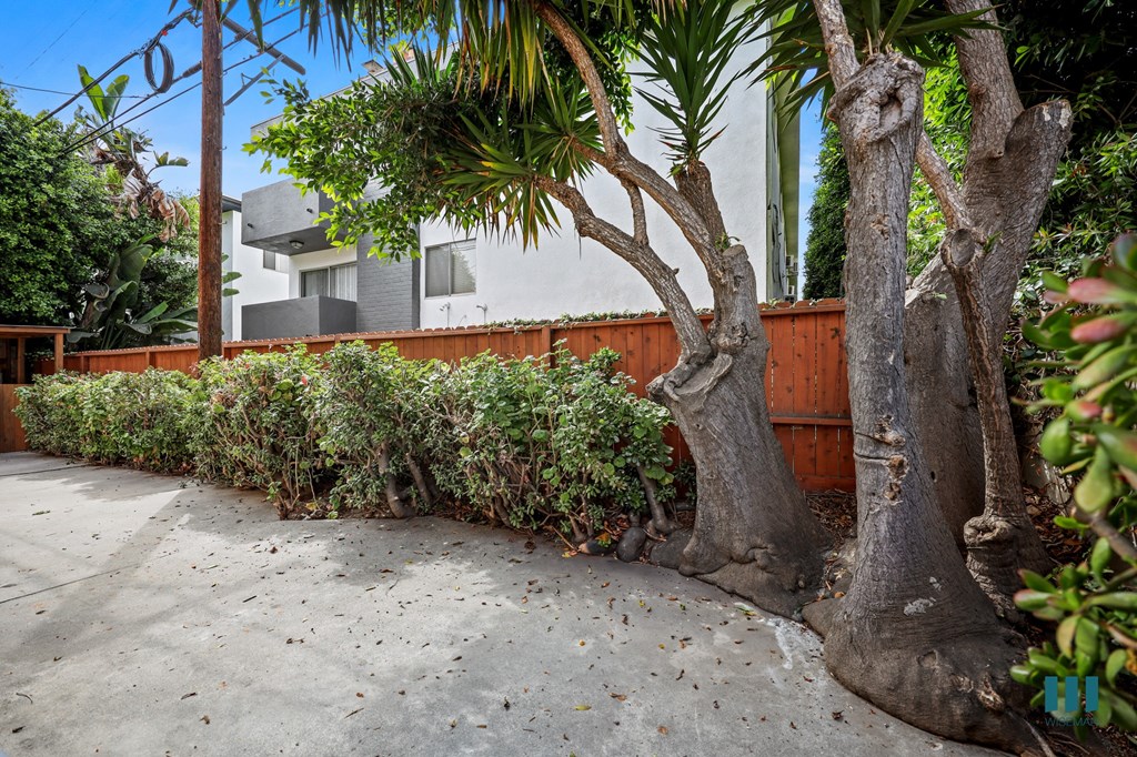 Common Area Patio Space