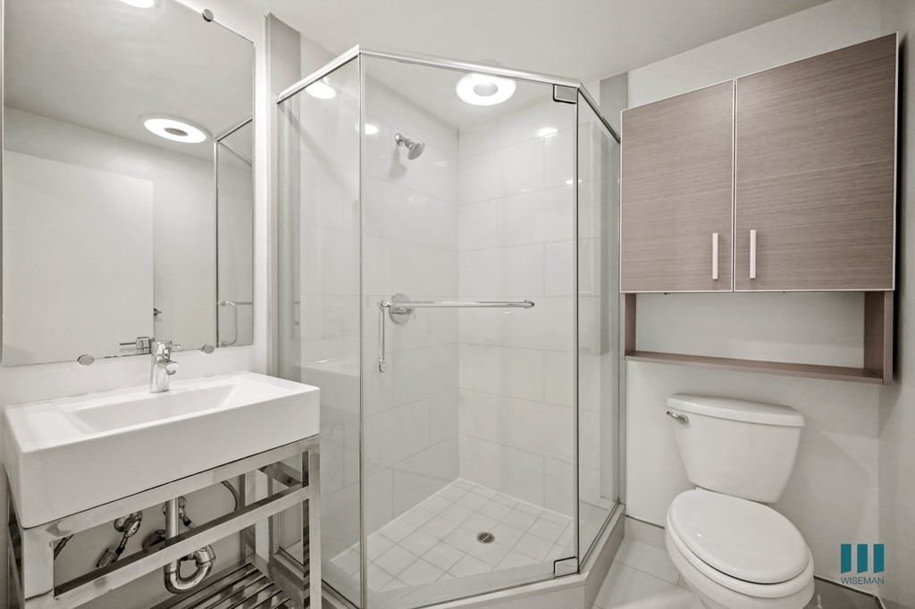 A modern bathroom with a walk-in shower and a toilet.