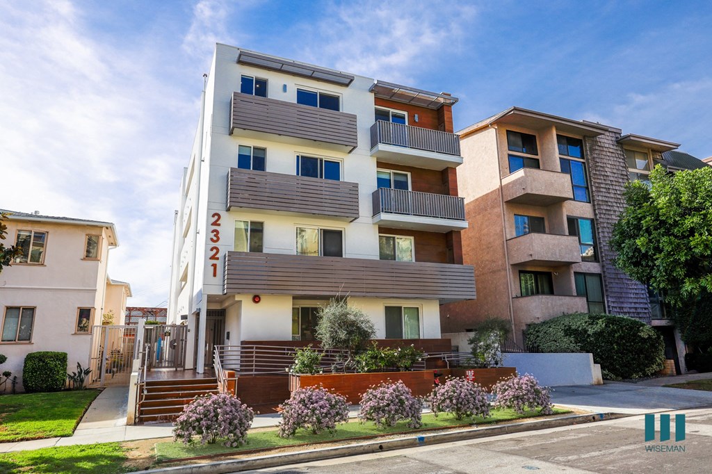 Fox Eight By Wiseman