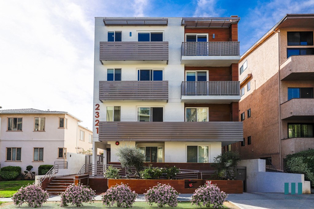 Fox Eight By Wiseman